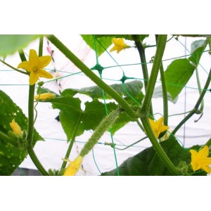 Siatka PLANT NET 8g/m2, 15x17cm, 2x10m