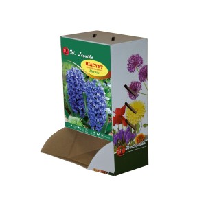 Hiacynt Blue Star - 30szt.