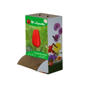 Tulipan Red Rover, Triumph - 30szt.