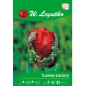 Tulipan Rococo, papuzi - 30szt.