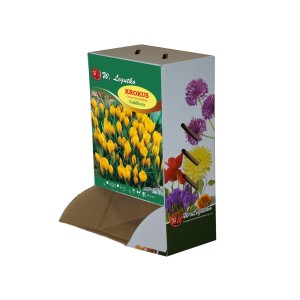 Krokus Goldilocks, Chrysanthus - 80szt.