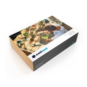 Zestaw narzędzi pielęgnacyjnych ERGO