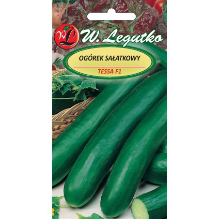 Ogórek gruntowy, sałatkowy - Tessa F1 - 3g