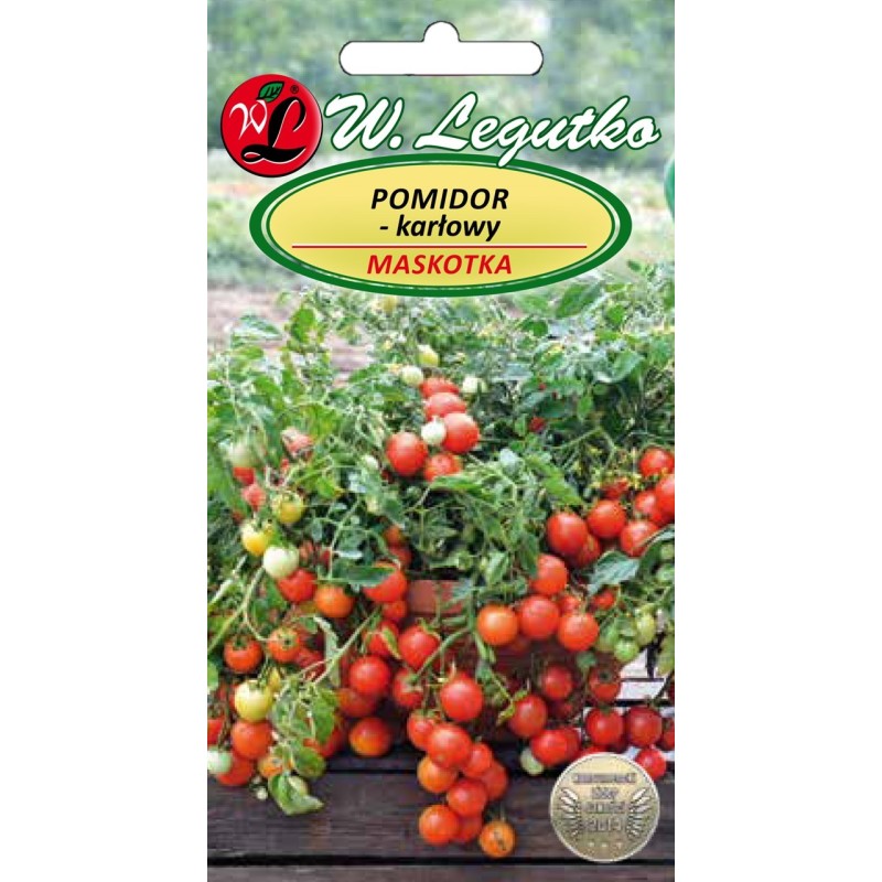 Pomidor karłowy - Maskotka - 0,5g