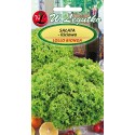 Sałata liściowa - Lollo Bionda - 1g