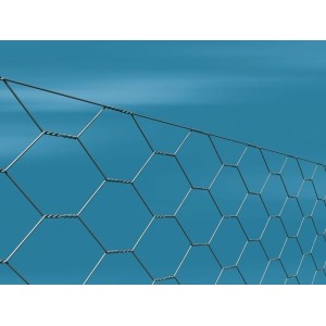 Siatka heksagonalna ocynkowana 0,5x25m - 13x13mm