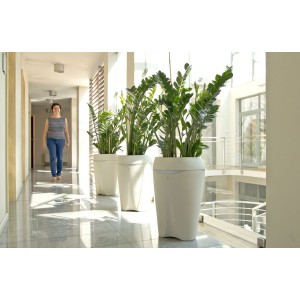 Doniczka PARABOLE 590 WOOD A2