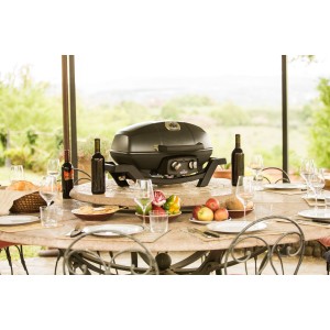 Grill gazowy Napoleon TravelQ PRO285, Czarny