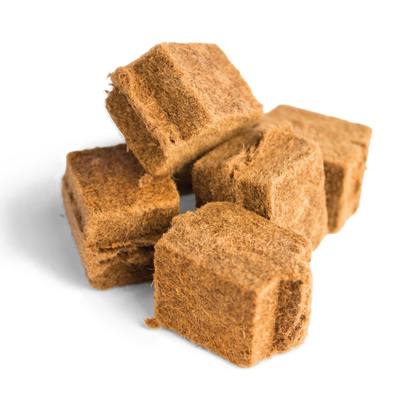 Naturalne podpałki - 100szt. NAPOLEON