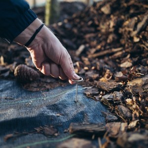 Szpilka metalowa galwanizowana "G" 3x15cm - 50szt.