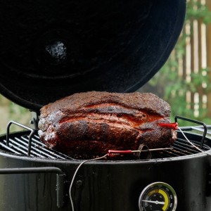 Sonda GrillEye Iris do termometrów GrillEye Max - 2szt.