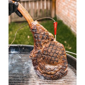 Sonda GrillEye Iris do termometrów GrillEye Max - 1szt.