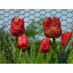 Siatka heksagonalna PVC 25/0,9mm - 1x25m