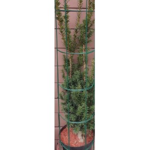 Podpora ogrodowa Kolumna 150x24cm - zielona