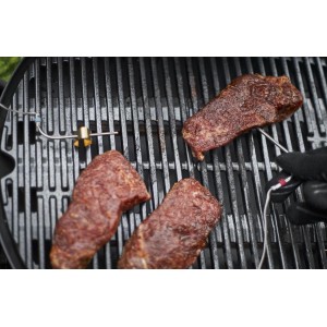 Weber Connect Smart Grilling Hub