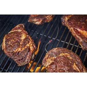 Weber Connect Smart Grilling Hub