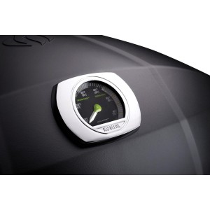 Grill gazowy Napoleon TravelQ 285X na kartusze z wózkiem nożycowym, Czarny