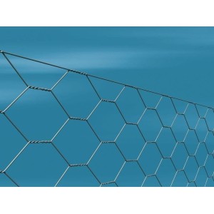 Siatka heksagonalna ocynkowana 0,5x25m - 25x25mm