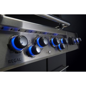 Grill gazowy Broil King Regal Q 590