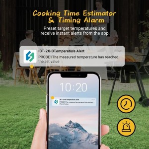 Termometr cyfrowy z podwójną sondą IBT-2X INKBIRD
