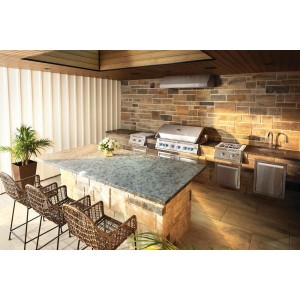 Grill gazowy Napoleon 44-calowy seria 700 RB do zabudowy z dwoma palnikami rożna, Stal Szlachetna