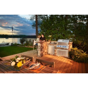 Grill gazowy Napoleon 32-calowy seria 700 RB do zabudowy z palnikiem rożna, Stal Szlachetna