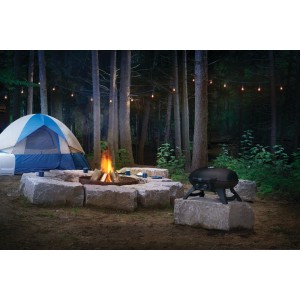 Przenośny grill gazowy Napoleon TravelQ 285 na kartusze, Czarny