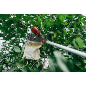 Zbierak do owoców V-SERIES na teleskopowym trzonku 3,75m