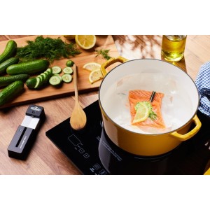 Bezprzewodowy termometr ACCU-PROBE PRO X NAPOLEON