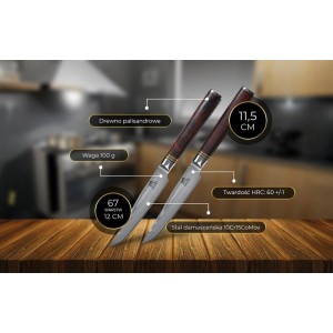 Suteki - Zestaw dwóch noży do steków SHIORI