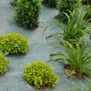 Tkanina do ściółkowania czarna 1,6x100m 100 g/m2