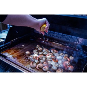 Stalowa plancha do grilli Prestige Pro / Prestige / Rogue 525 i 625 NAPOLEON