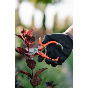 Sekator V-SERIES-D ostrze mijające, stal nierdzewna