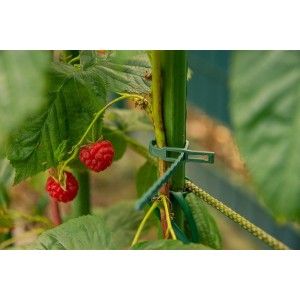 Rozpinane opaski do mocowania roślin  170/5,4mm - zielone