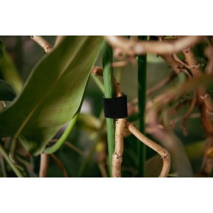 Wielofunkcyjna opaska - rzep  ROLKA  T    30 mm x 2 m black