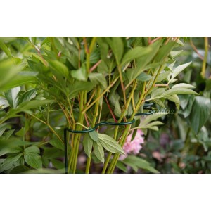 Podpora pierścieniowa falista do roślin   1/2 koła śred. 40 cm / wys. 115cm