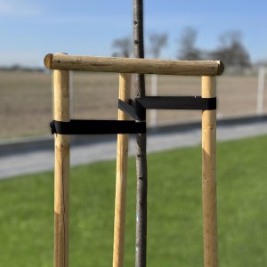 Taśma do stabilizacji drzew TREE SUPPORT  25 mm x 25 m