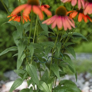 Obejma falista do roślin, stalowa  średnica 30 cm