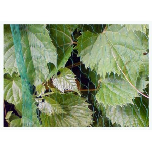 Siatka BIRD NET 10g/ m2 ,19x19mm,4x500m