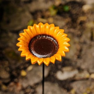 Poidło dla ptaków SŁONECZNIK 15x15x4.5cm, 7x71cm