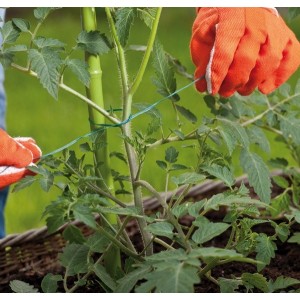 Drut ogrodniczy z obcinaczem - 50m