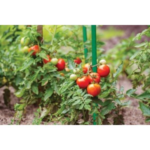 Stalowa tyczka ogrodowa 1,6x240cm