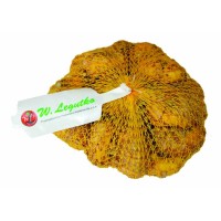 cebulki i bulwy kwiatowe