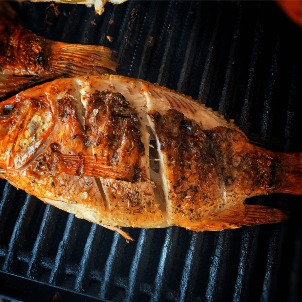 Jakie ryby są idealne do grillowania? Sprawdź!